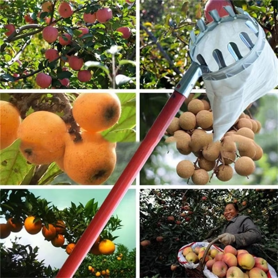 Agriculture Farming Tool - Multi Purpose Telescopic Galvanized Iron Fruit