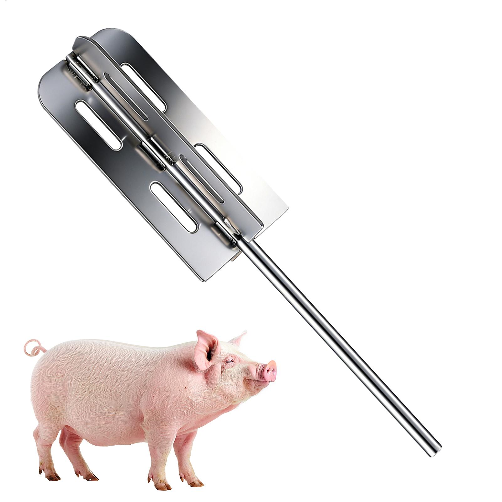 Agriculture Farming Tool - Hog Hair Removal Tool Stainless Steel