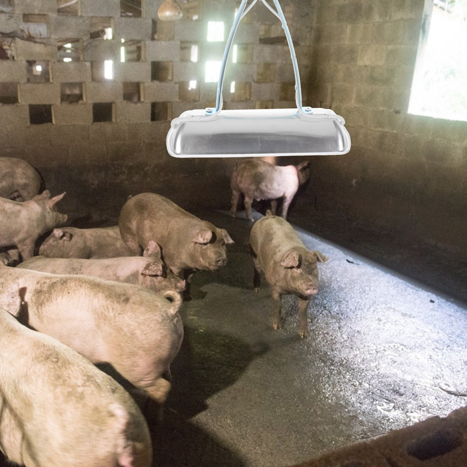 Farming A - Pig Farm Heat Lamp Bulb E27