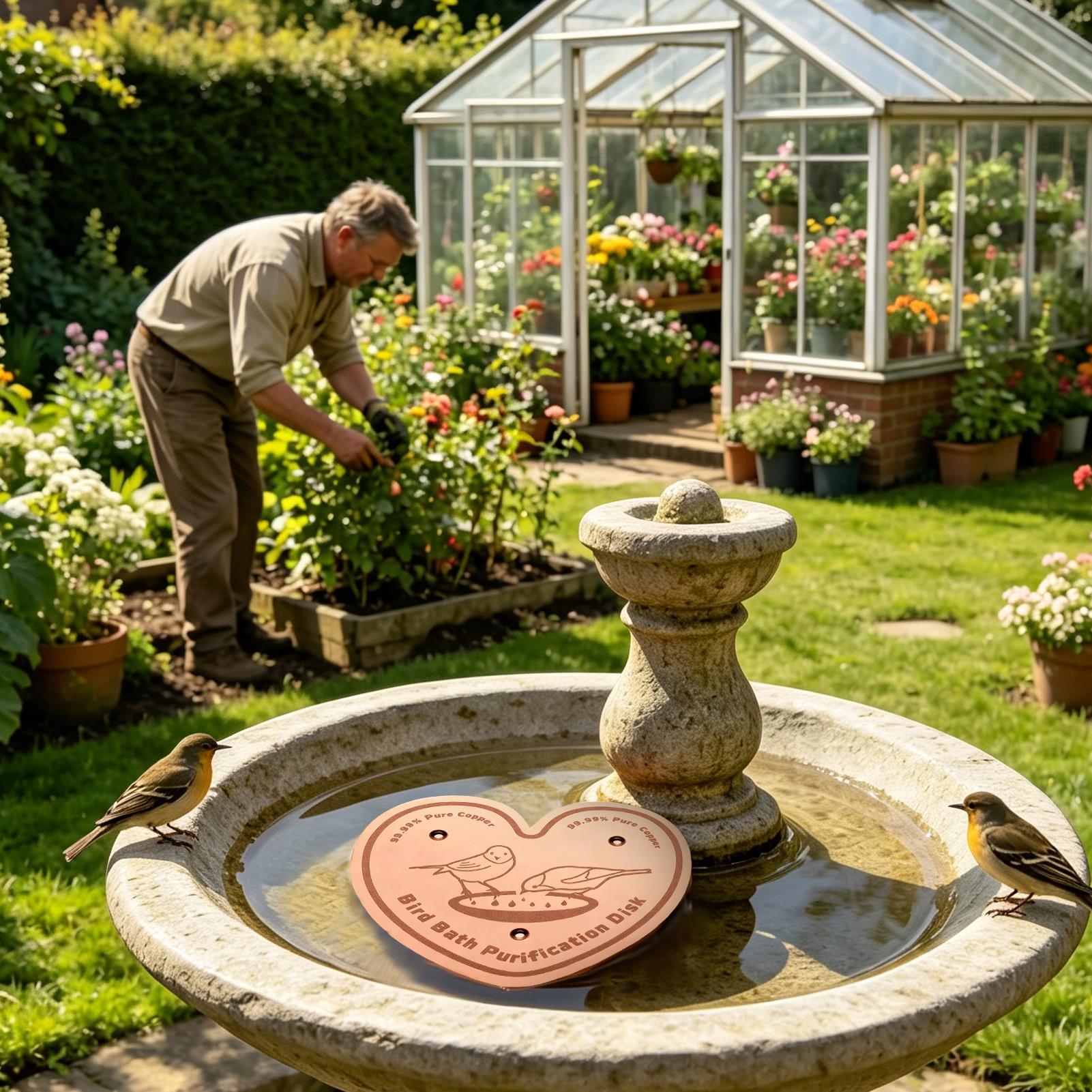 Bird Bath Cleaner Disc Solid M - Farming A ulasan dan harga
