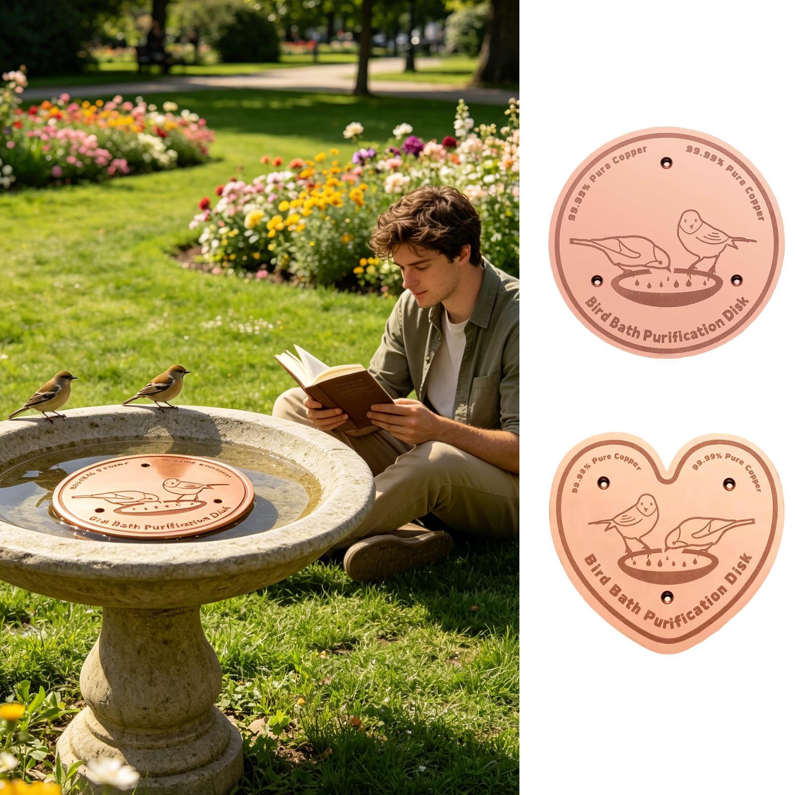 Bird Bath Cleaner Disc Solid M - Farming A ulasan dan harga