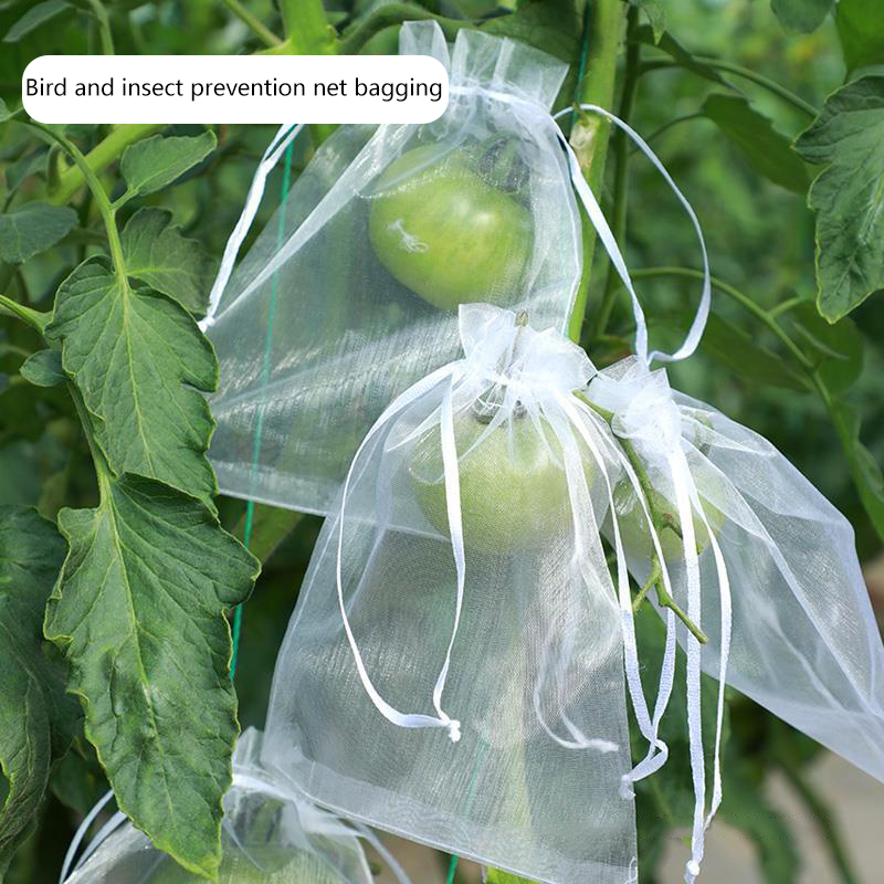 50Pcs Grapes Fruit Protection  - Agriculture Farming Tool ulasan dan harga