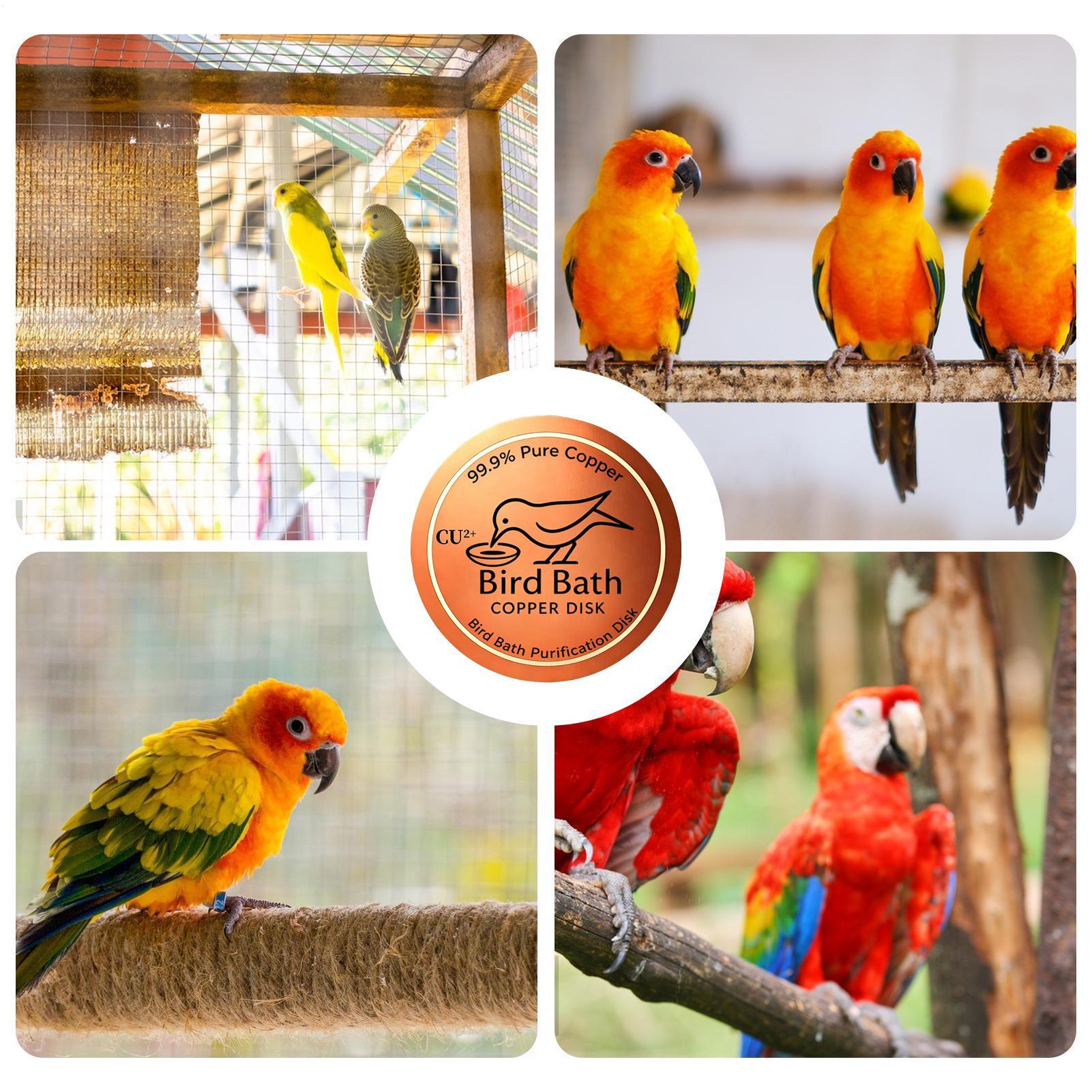 Bird Bath Copper Disk 0.6mm Th - Farming A ulasan dan harga