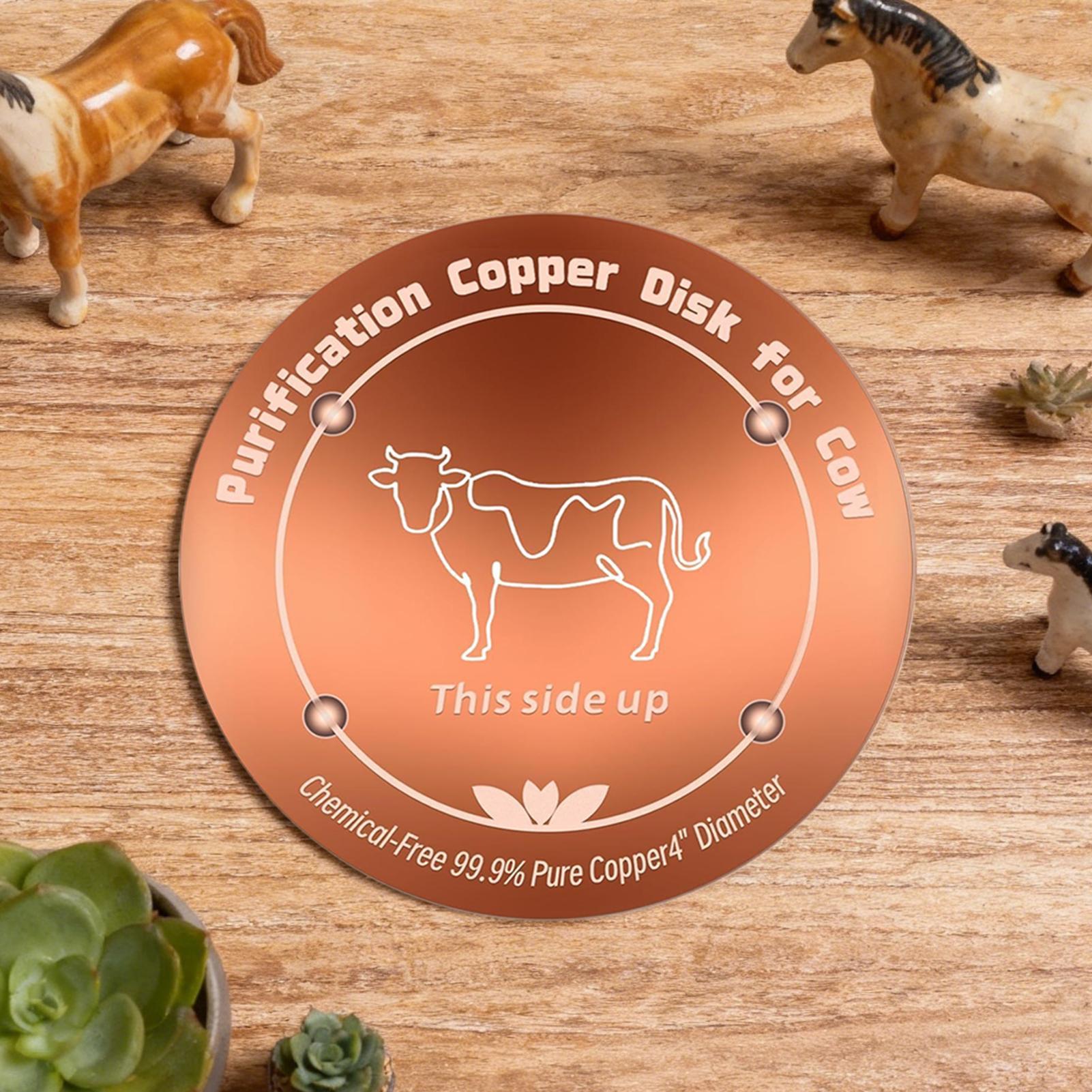Bird Bath Disc with Three-Poin - Farming A ulasan dan harga