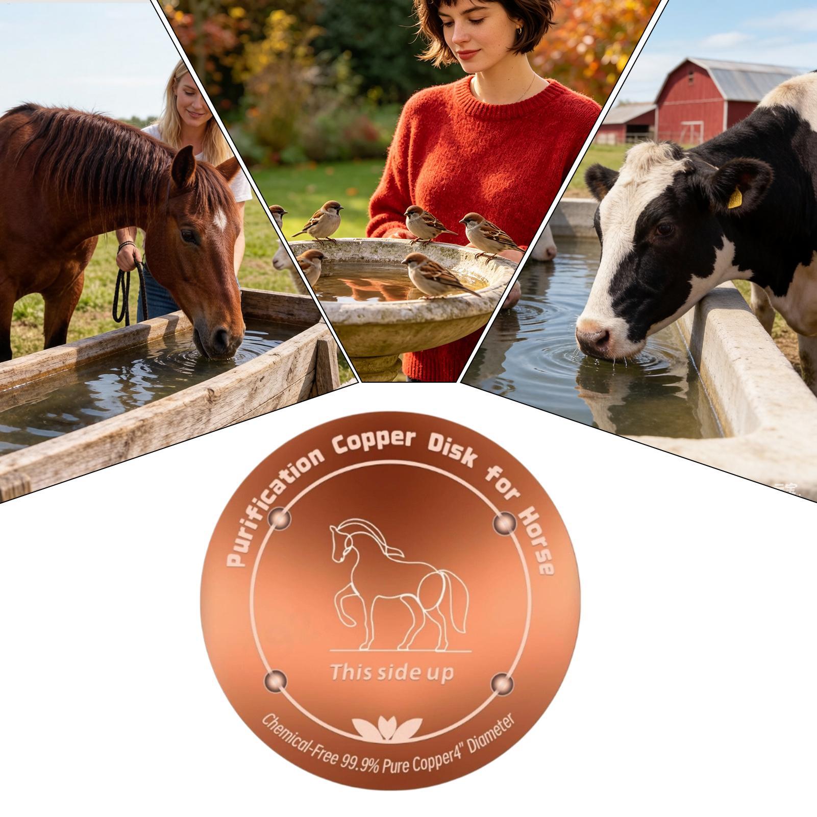 4 Inch Copper Purifier Cow Wat - Farming A ulasan dan harga