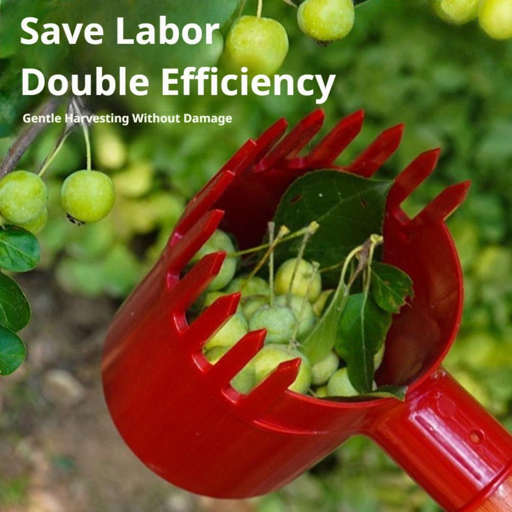 Fruits Picker Portable Harvest - Agriculture Farming Tool ulasan dan harga