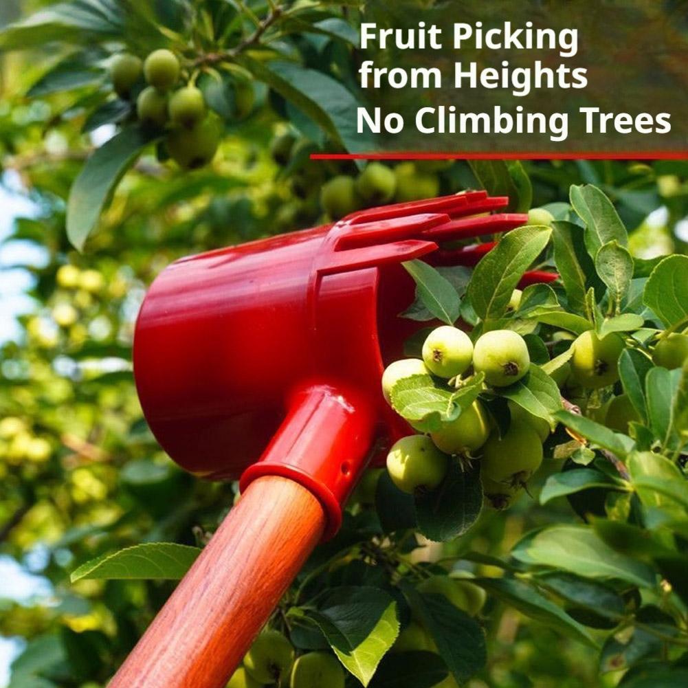 Fruits Picker Portable Harvest - Agriculture Farming Tool ulasan dan harga