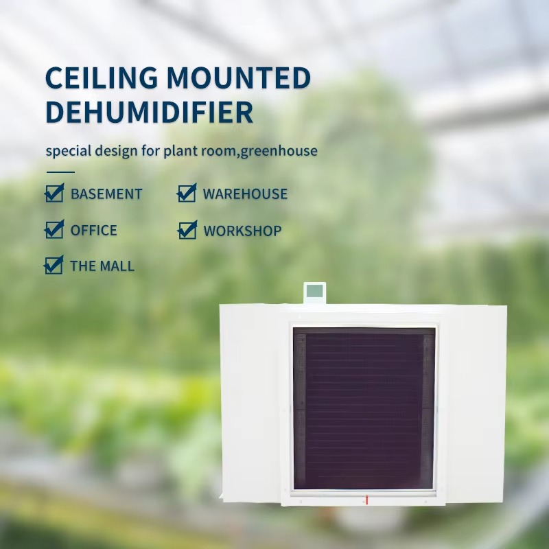 Large 480L Air Dehumidifier fo - Farming A ulasan dan harga