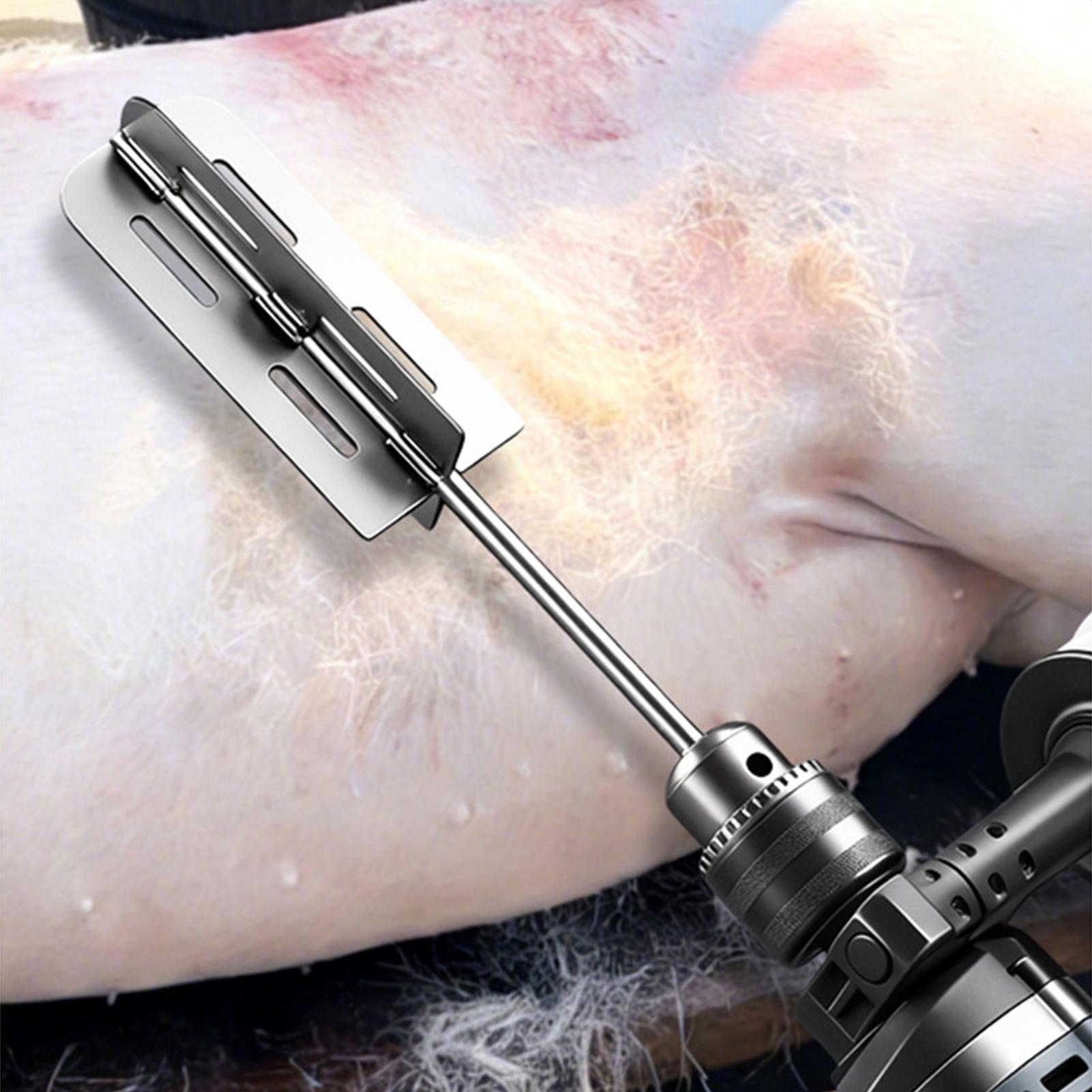 Hog Hair Removal Tool Stainles - Agriculture Farming Tool ulasan dan harga